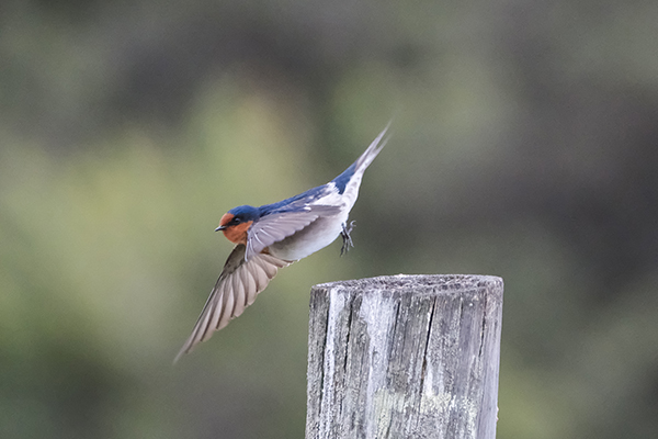 web33.secure-secure.co.uk